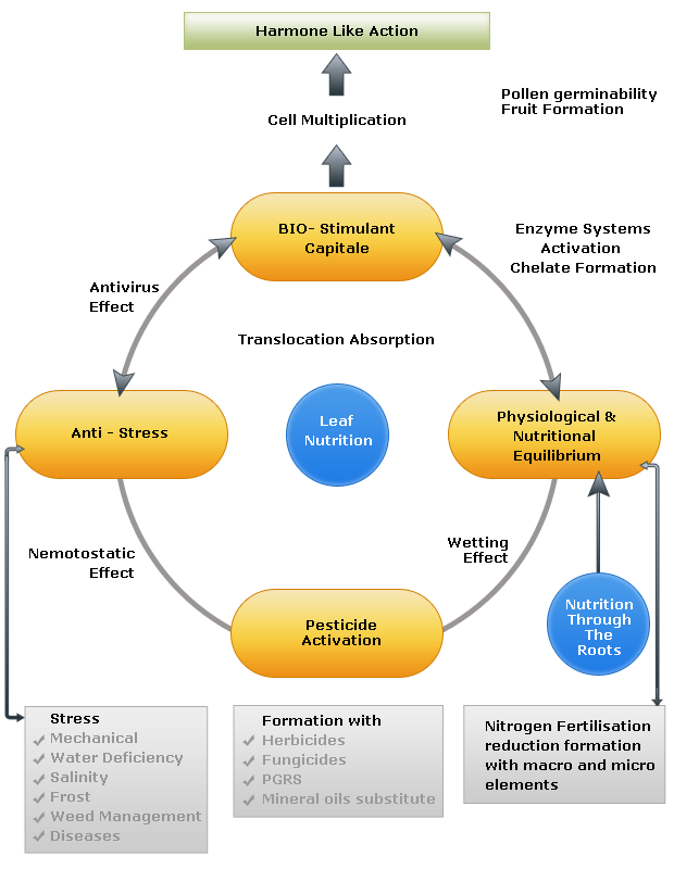 Mechanism & Effects