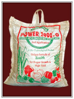 Power 2000 G