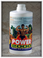 Power 2000